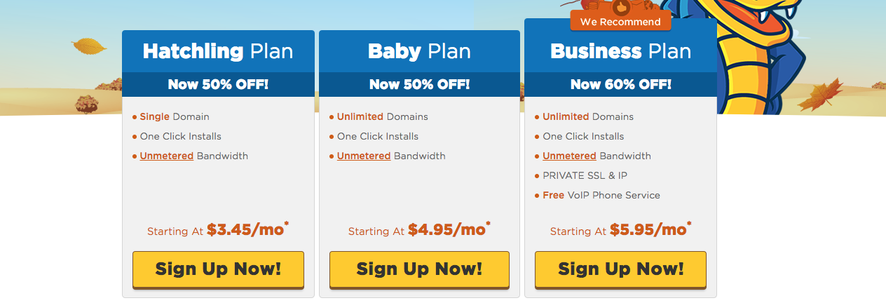 HostGator Review - Hosting Plans